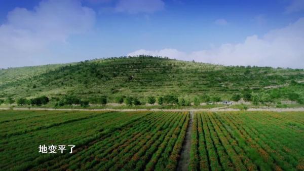 颠覆你的想象！《山海情》里的“西海固”完全变了