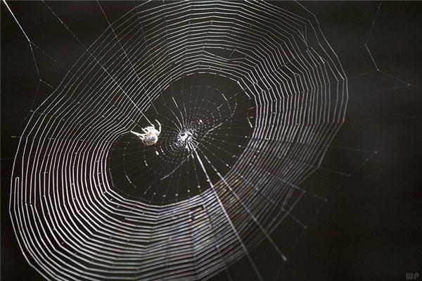 工作上，常见的三个陷阱，别说你没遇见过