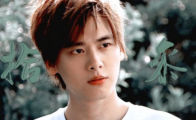 在北京被抓捕的4位明星，个个臭名远扬星途惨淡，没一个值得同情