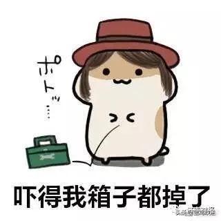 视频曝光！揭秘缉毒现场那颗“消失的子弹”