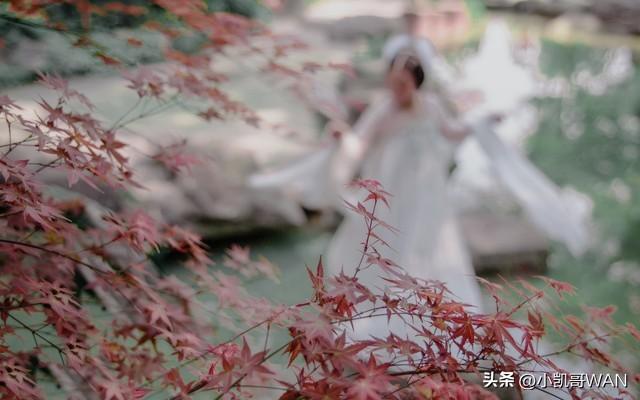 我和邻家嫂子的故事（85）