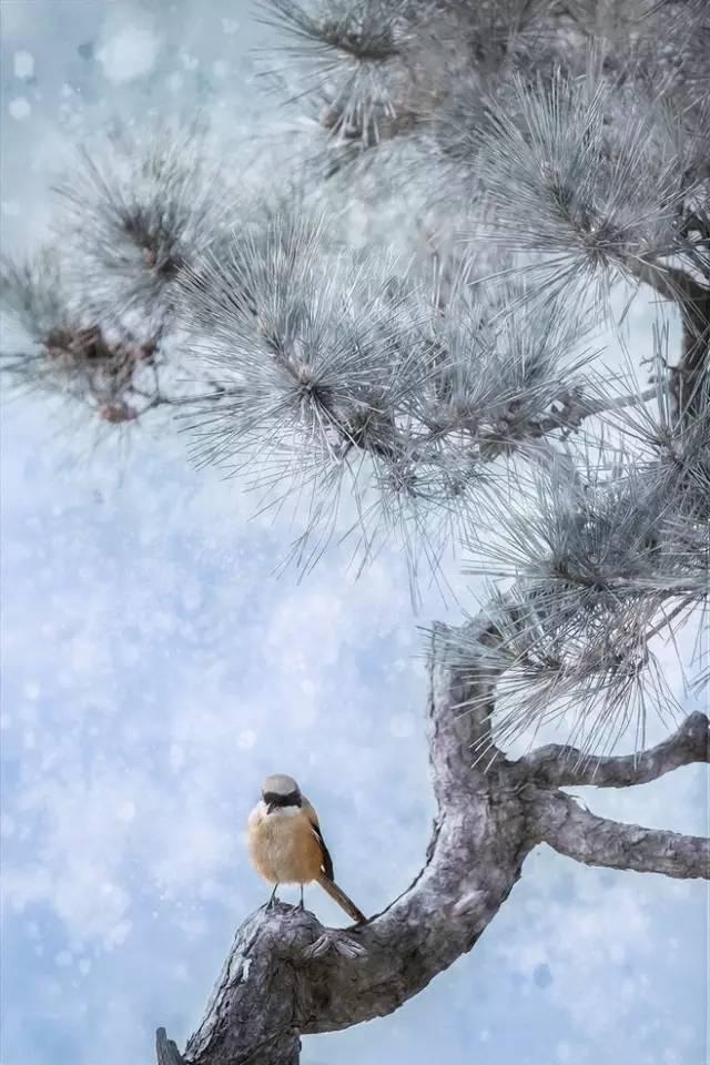 夜读｜冬至阳生春又来