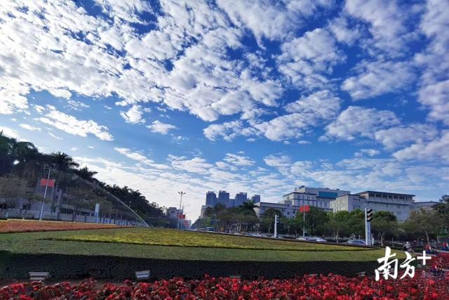 多图｜你被今天茂名的蓝天白云刷屏了吗？