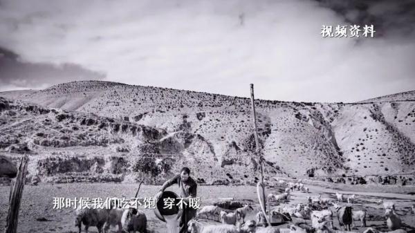 颠覆你的想象！《山海情》里的“西海固”完全变了