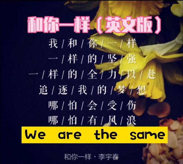 大同小异 英语怎么说？