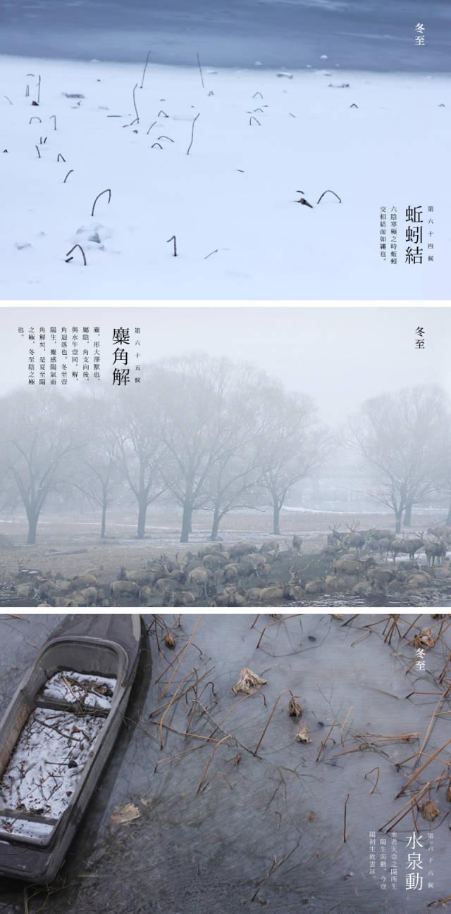 夜读｜冬至阳生春又来