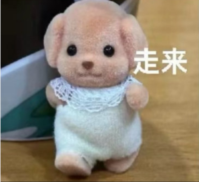 表情包丨展开说说