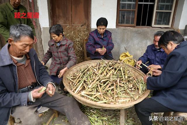 宁波有个深山古村，电视剧《南下》拍摄地，仿佛时空穿越