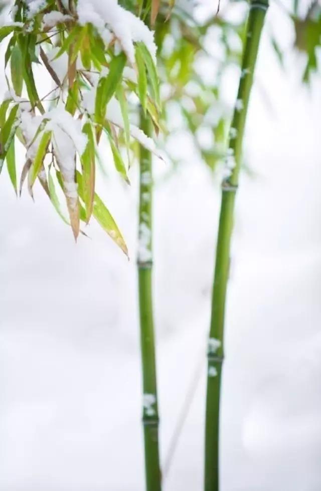 夜读｜冬至阳生春又来