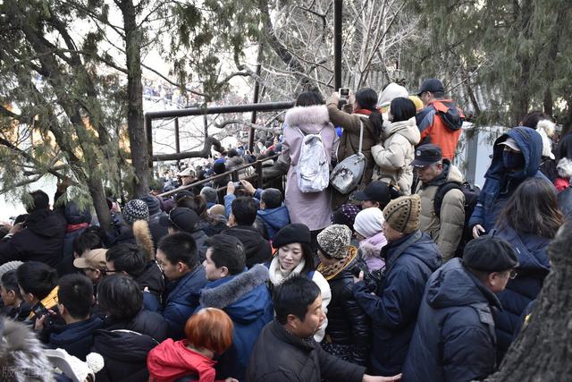 农村俗语“冬至在月头,要冷到年兜”,今年冬天会冷么?