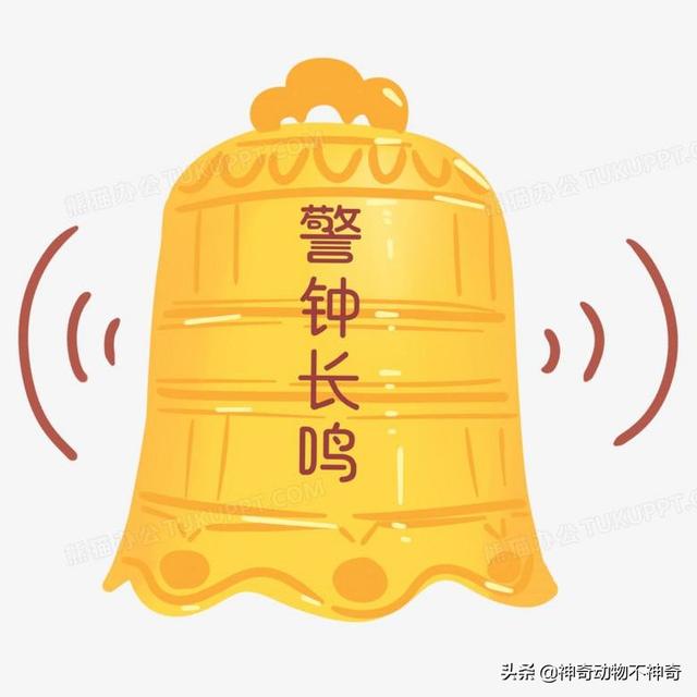致命毒蝎号称“穷人的毒品”，巴铁还把它当烟抽，它有什么魔力？