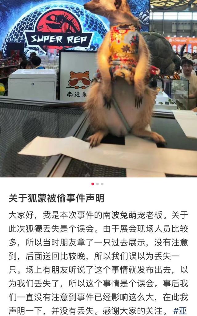 上海亚宠展网红“丁满”被偷？商家否认炒作：朋友拿走，没调过监控