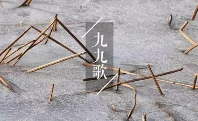 夜读｜冬至阳生春又来