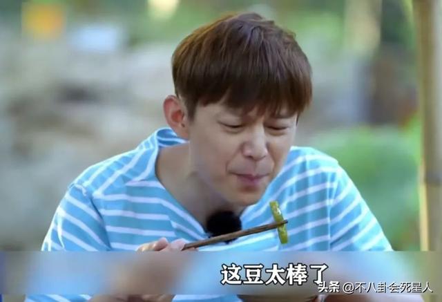 52岁黄磊翻车了，评论区骂声一片，沈腾的点评说出了观众心声