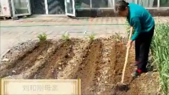 刘和刚：成名后把岳父母接到家里伺候，却让亲生父母去种郊区田？