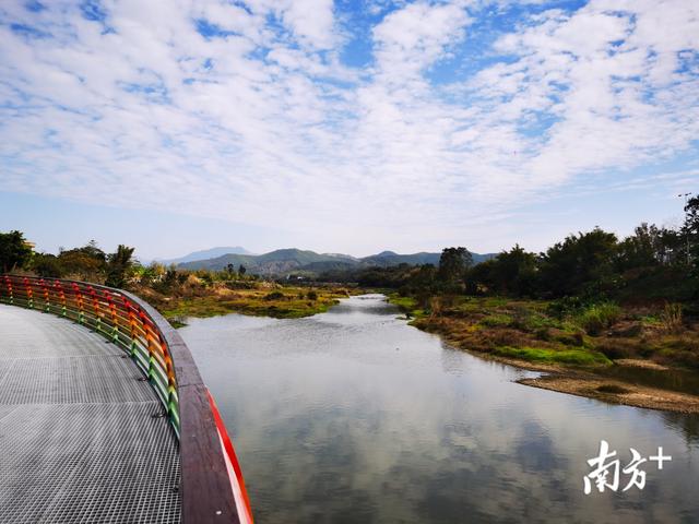 多图｜你被今天茂名的蓝天白云刷屏了吗？