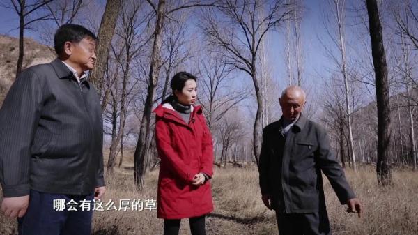 颠覆你的想象！《山海情》里的“西海固”完全变了