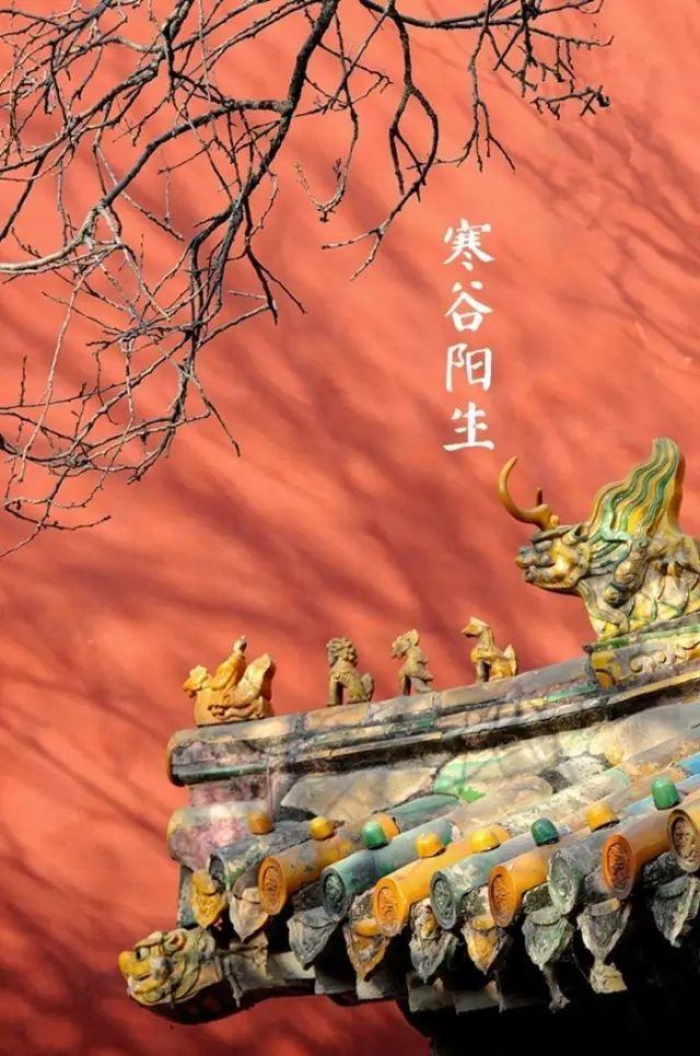 夜读｜冬至阳生春又来