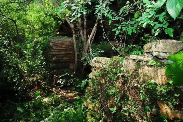 天天学习丨英雄母亲邓玉芬