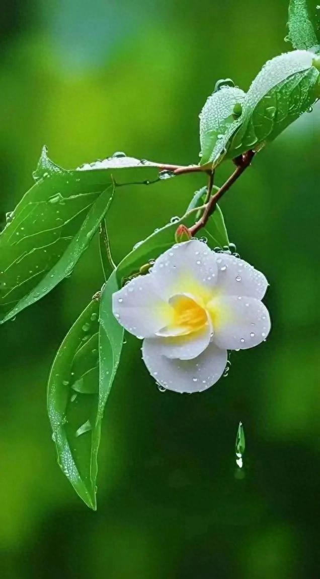 男人害怕失去老婆通常会有以下表现：