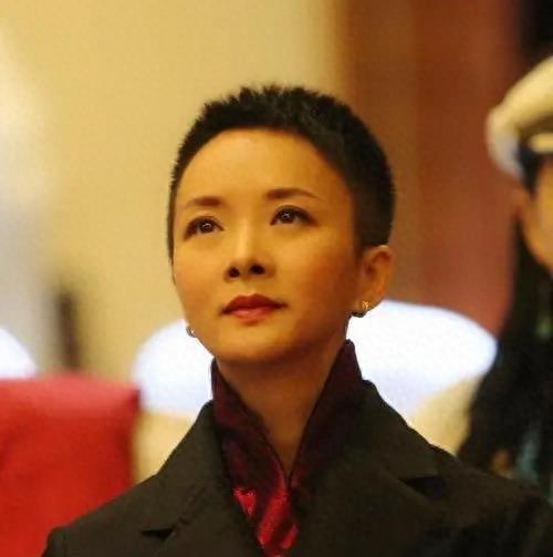 50岁演员谢兰被曝定居美国，低调回国近照变化大，脸泛油光不对称