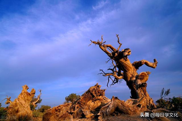 “家中现四喜，子孙出能人”，家中有这四大景象，子孙未来可期