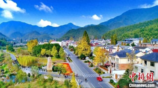 浙江改革聚焦：数字化成守护绿水青山利器