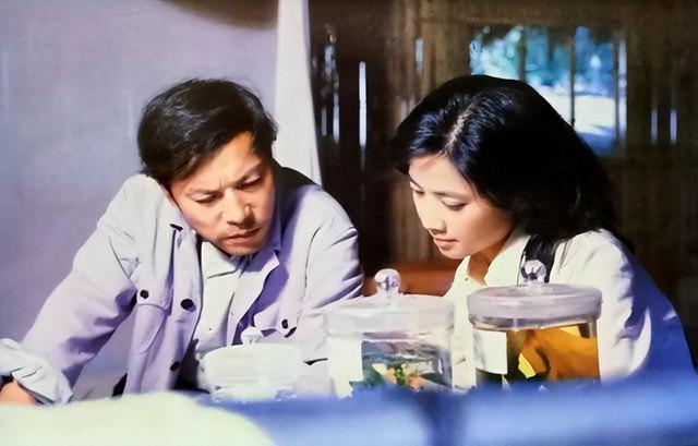 许云帆高大帅气，娶黄志忠前妻何音，将继子视如己出，婚后无儿女