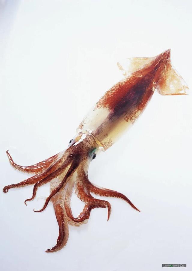 山海经密码:真正的山海经世界,是否真的存在过