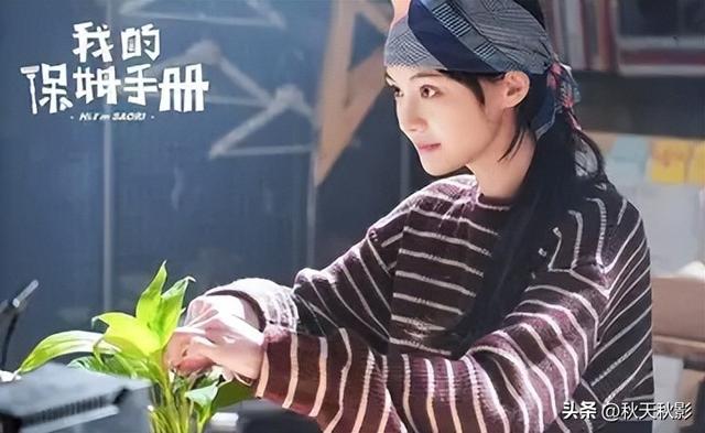 我的保姆手册