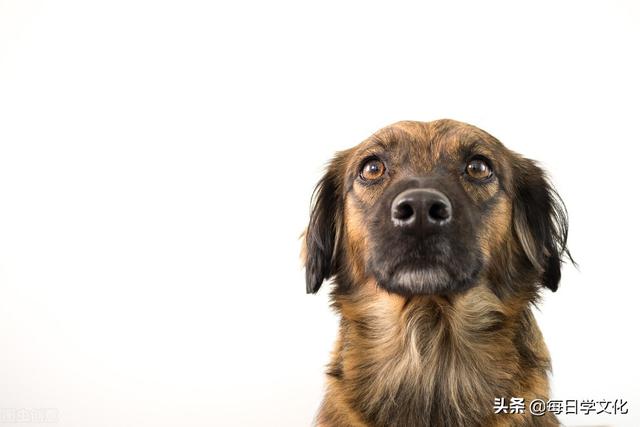 “家中现四喜，子孙出能人”，家中有这四大景象，子孙未来可期