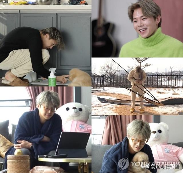 韩国热播剧男主演陷入弃养争议，带宠物上电视只为树立爱动物人设