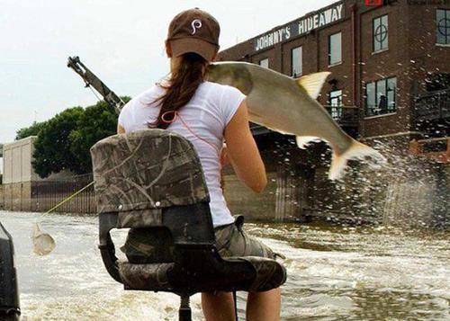 女子用弓箭射亚洲鲤鱼，却惨遭鲤鱼反击！