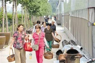 直博会、茶淀葡萄节、草莓音乐节、茶博会……最近天津有的玩了！