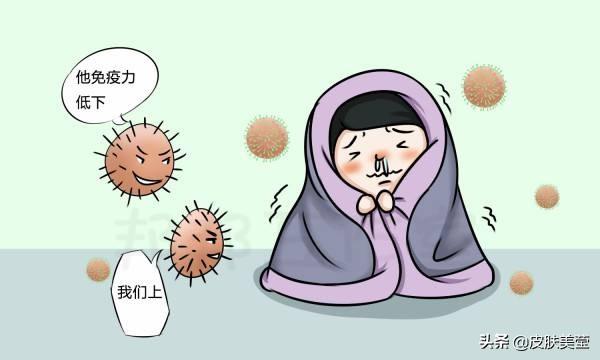 我认识的单纯疱疹病毒