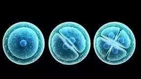 运动员有几个长寿的？你可能真的错了哦！