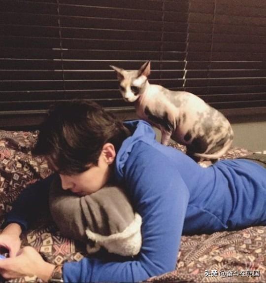 韩国热播剧男主演陷入弃养争议，带宠物上电视只为树立爱动物人设