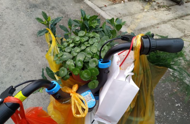 27岁女白领曝光私生活：纵欲上瘾，正在榨干当代年轻人