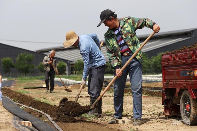 甘肃正宁：小蚯蚓“蚓”出绿色循环农业新路子
