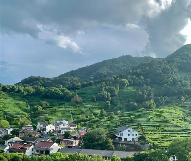 19岁少女和蛇的奇妙情缘：一场超越寻常的情感奇遇