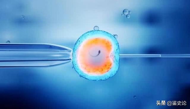 2010年，46岁女老板嫁给27岁男下属，50岁生下3胞胎，后来怎样了