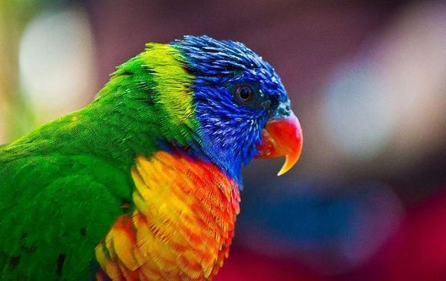 山海经密码:真正的山海经世界,是否真的存在过