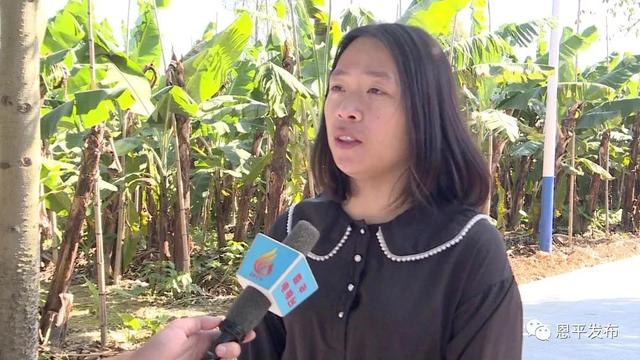 「热点」5条农村公路通车，恩平君堂镇9000多名村民告别行路难