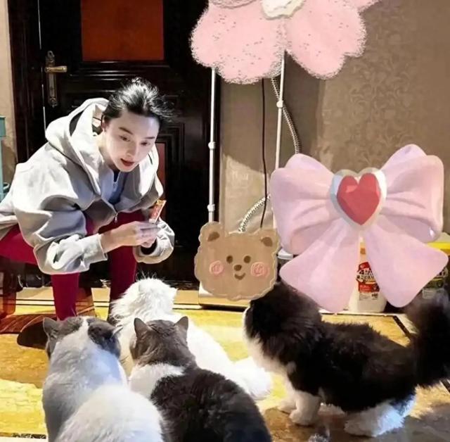 44 岁范冰冰素颜撸猫，红秋裤配卫衣在自家豪宅放飞自我