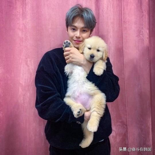 韩国热播剧男主演陷入弃养争议，带宠物上电视只为树立爱动物人设