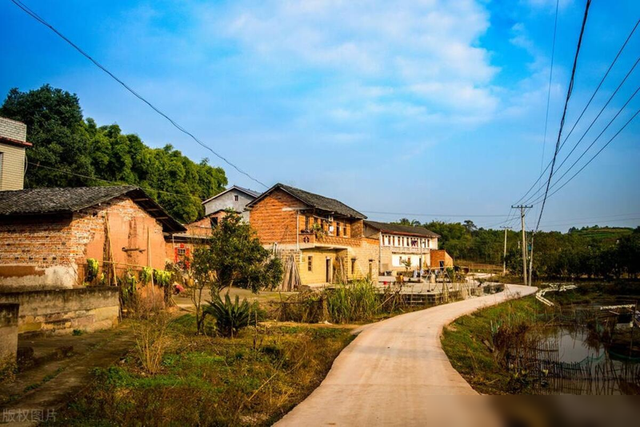 家庭伦理：荒唐的母亲