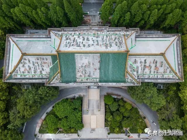 太美了！90%的上海人都不知道，杨浦这儿竟然有一座“绿瓦大楼”