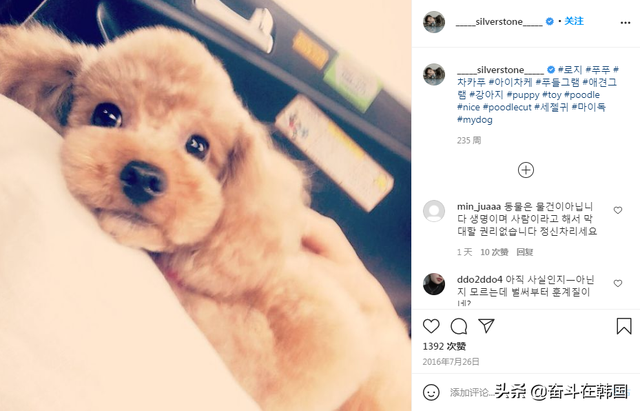 韩国热播剧男主演陷入弃养争议，带宠物上电视只为树立爱动物人设