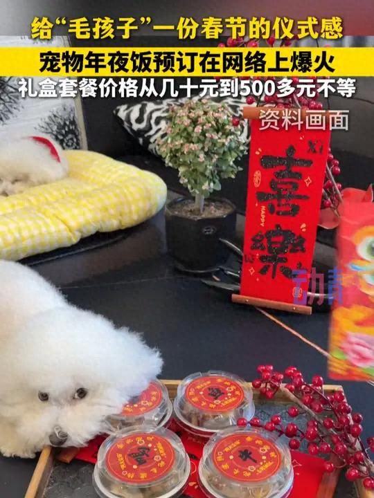 “毛孩子经济”春节火了，你家萌宠这个节怎么过的？