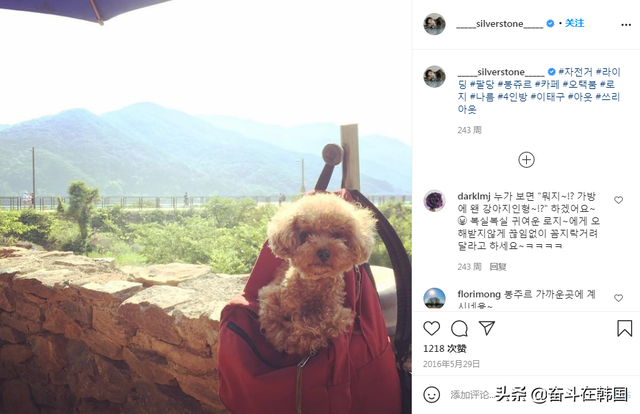 韩国热播剧男主演陷入弃养争议，带宠物上电视只为树立爱动物人设